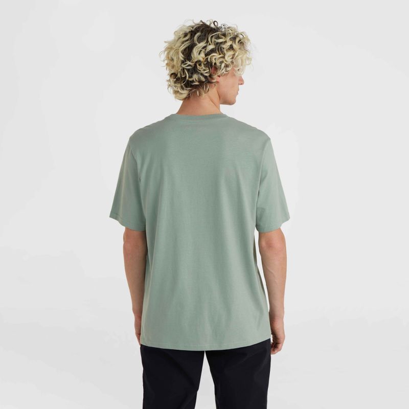 O'Neill Mix & Match Floral Graphic T-Shirt zöld férfi póló