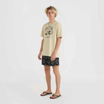 O'Neill Mix & Match Wave T-Shirt bézs férfi póló