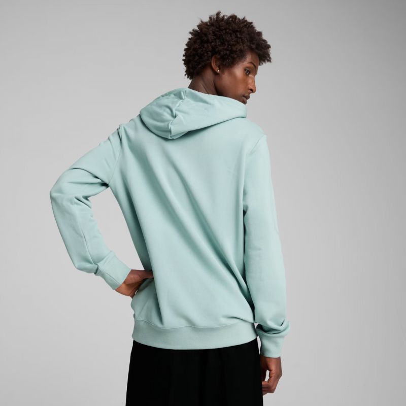Puma Ess 2 Color Small No.1 Logo Hoodie TR M 684719 67 Kapucnis pulóver - Sportmania.hu