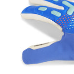 Puma Future Match NC Kiegészítők Kesztyű 041926-04