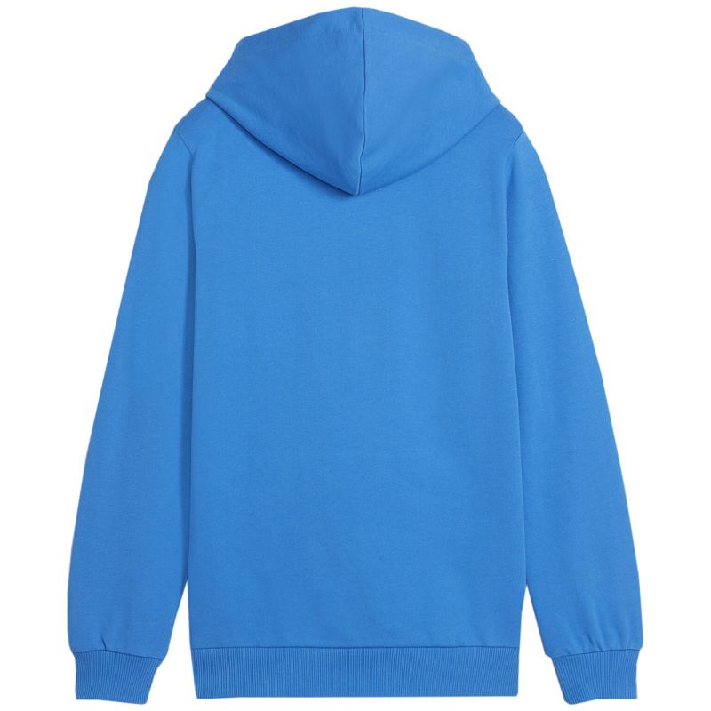 Puma Team Goal Casuals Hoddy Jr sweatshirt 658619 02 Pulóver - Sportmania.hu