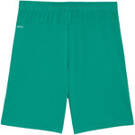 Puma Team Goal green zöld férfi rövidnadrág 70575205