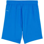 Puma Team Goal kids' shorts blue gyerek 70575302