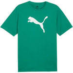 Puma Team Rise Logo Jersey Cotton férfi póló 65870505