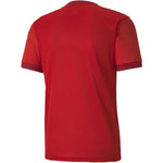 Puma teamGOAL 23 Jersey férfi Póló 70417101