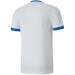Puma teamGOAL 23 Jersey férfi Póló 70417112
