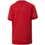 Puma teamGOAL 23 Jersey Jr T-shirt 704160 01 Póló - Sportmania.hu