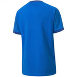 Puma teamGOAL 23 Jersey Jr T-shirt Póló gyerek 70416002