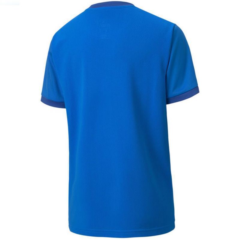 Puma teamGOAL 23 Jersey Jr T-shirt Póló gyerek 70416002