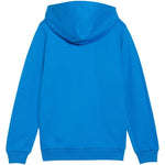 Puma teamGoal Casuals Hooded Jr gyerek Kapucnis pulóver 65859602