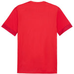 Puma teamGoal Matchday Jersey férfi póló 70574701