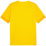 Puma teamGoal Matchday Jersey férfi póló 70574707