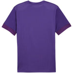 Puma teamGoal Matchday Jersey férfi póló 70574710