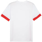 Puma teamGoal Matchday Jersey férfi póló 70574711
