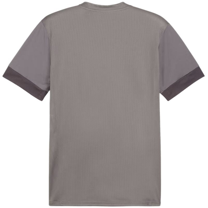 Puma teamGoal Matchday Jersey M 705747 13 póló - Sportmania.hu