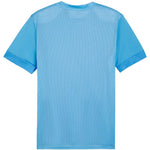 Puma teamGoal Matchday Jersey M 705747 18 póló - Sportmania.hu