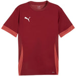 Puma teamGoal Matchday Jersey men's burgundy Kiegészítő férfi Póló 70574709