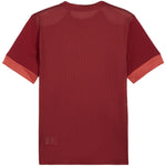 Puma teamGoal Matchday Jersey men's burgundy Kiegészítő férfi Póló 70574709