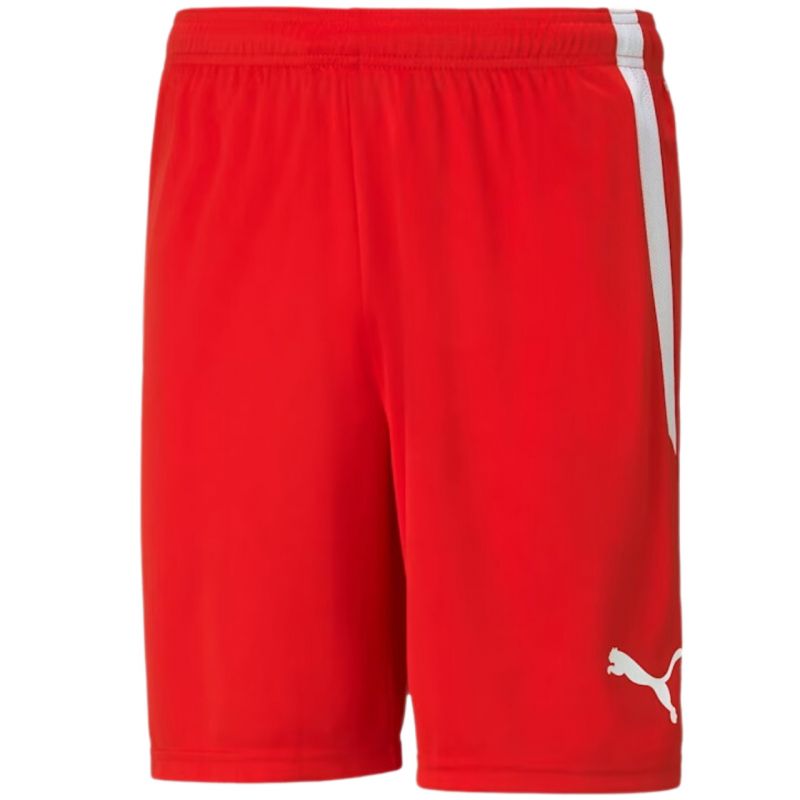 Puma teamLIGA M shorts férfi rövidnadrág 70492401