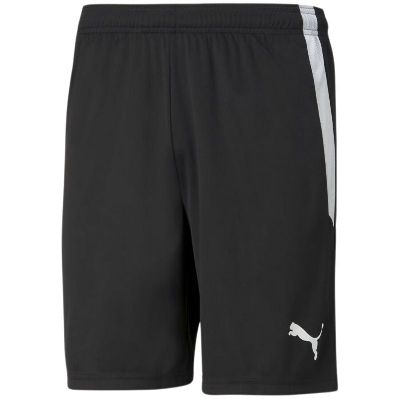 Puma teamLiga M shorts férfi rövidnadrág 70492403
