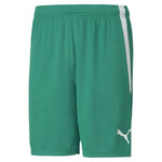 Puma Teamliga s Short - Sportmania.hu