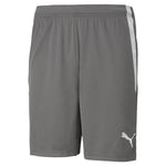 Puma Teamliga smoked pearl-puma white rövidnadrág