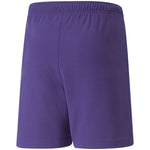 Puma teamRise Short Jr gyerek rövidnadrág 70494310