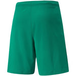 Puma teamRISE Short M 704942 05 Short - Sportmania.hu