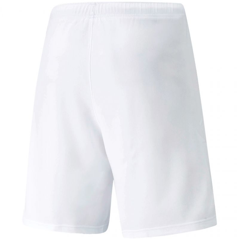 Puma teamRISE Shorts M férfi rövidnadrág 70494203