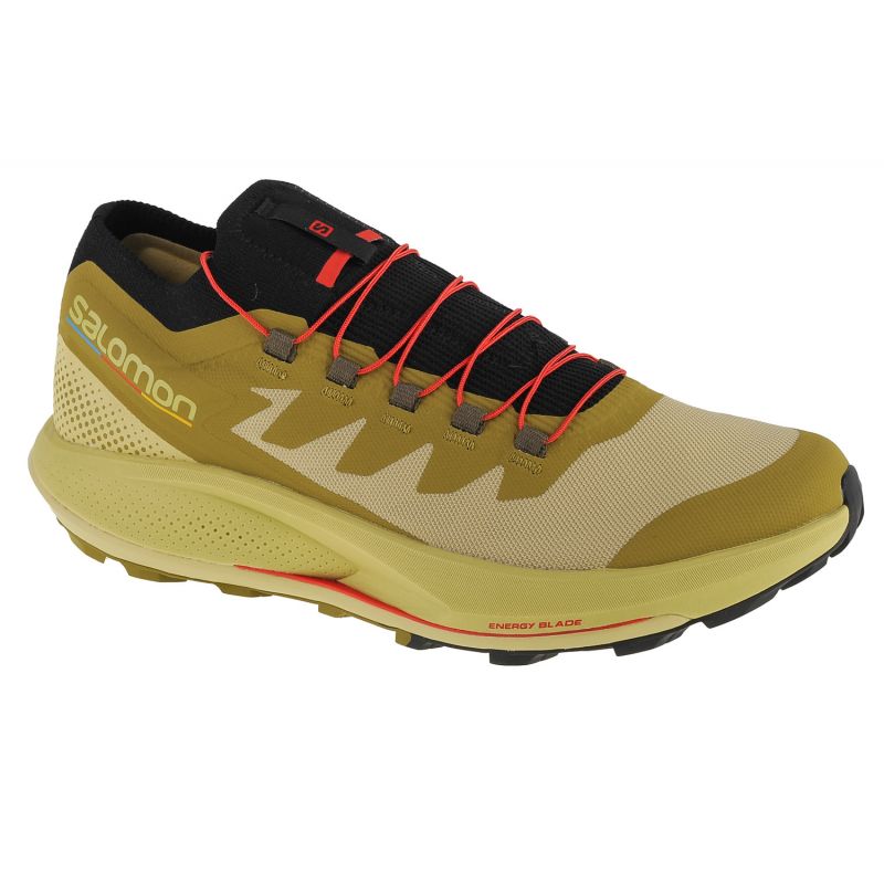 Shoes Salomon Pulsar Trail-Pro M férfi futócipő 415936