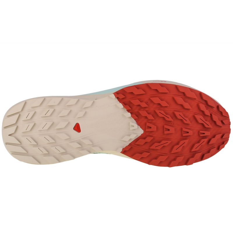 Shoes Salomon Sense Ride 5 M 472117 - Sportmania.hu