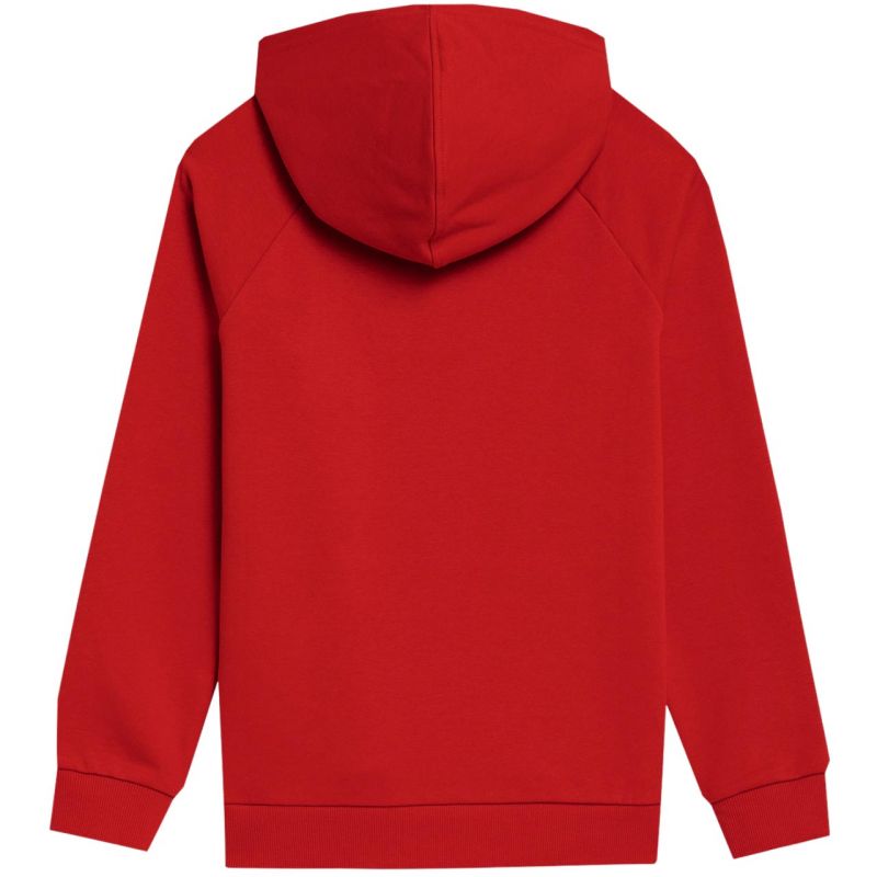 Sweatshirt 4f Jr. 4fjss23tswsm220 62s - Sportmania.hu