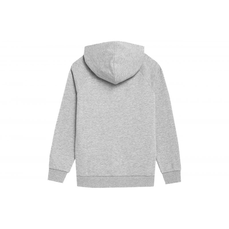 Sweatshirt 4f Jr 4fjss23tswsm220 Cool Light Gray - Sportmania.hu