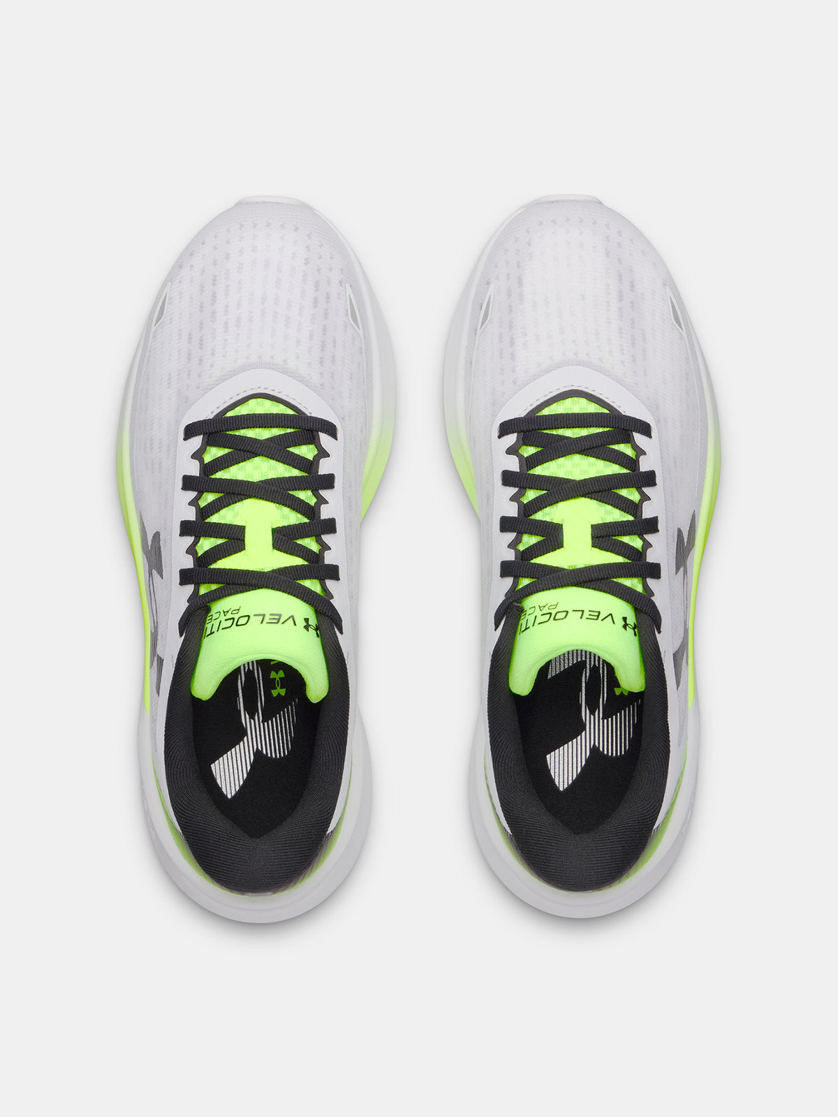 Férfi cipők Under Armour UA Velociti Pace Futócipő