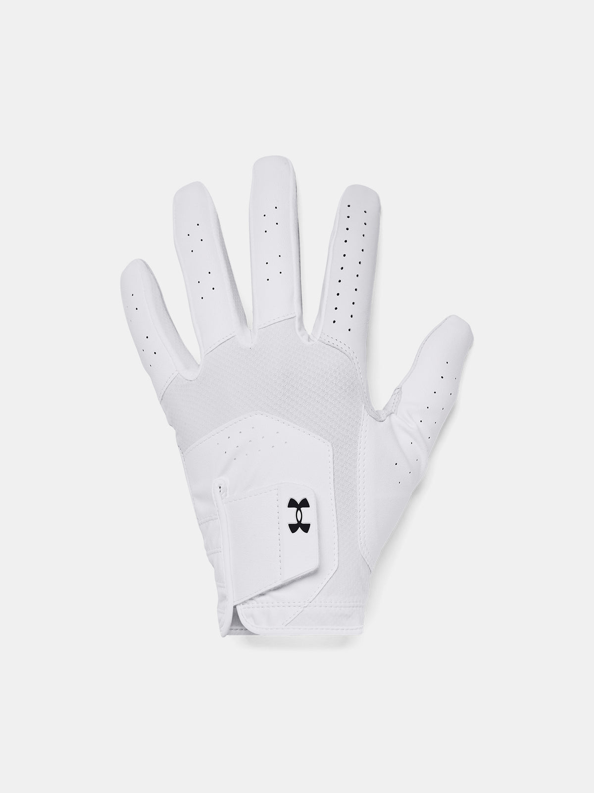 Under Armour Férfi keszty UA Iso-Chill Golf Kesztyű