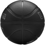 Wilson Nba Player Evergreen Bskt Lebron Basketball Ball Labda WZ4026801XB