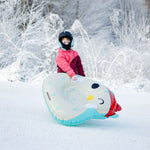 Meteor Owl Snow Slide