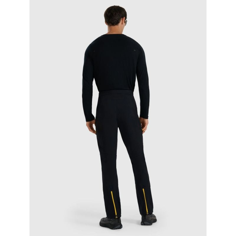 Men's trekking trousers 4F 4FRAW25TFTRM1233-20S