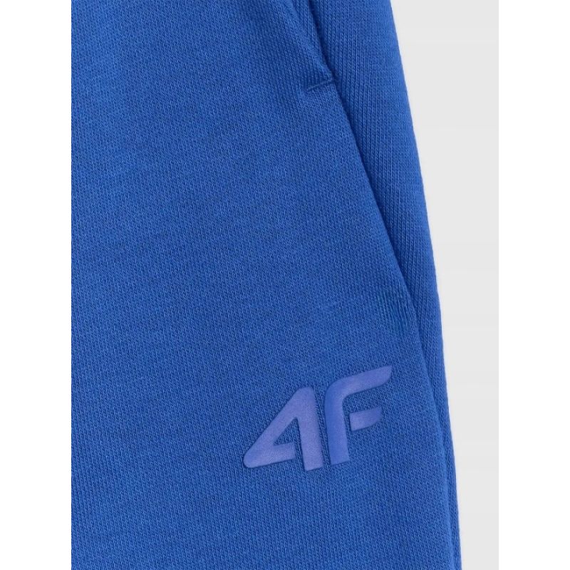 Men's sweatpants 4F 4FWAW25TTROM1272-36S 3xl nadrág