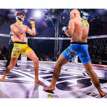 DBX Bushido MMAsparring gloves S/M - Undefeated - Valor Series l/xl kesztyű