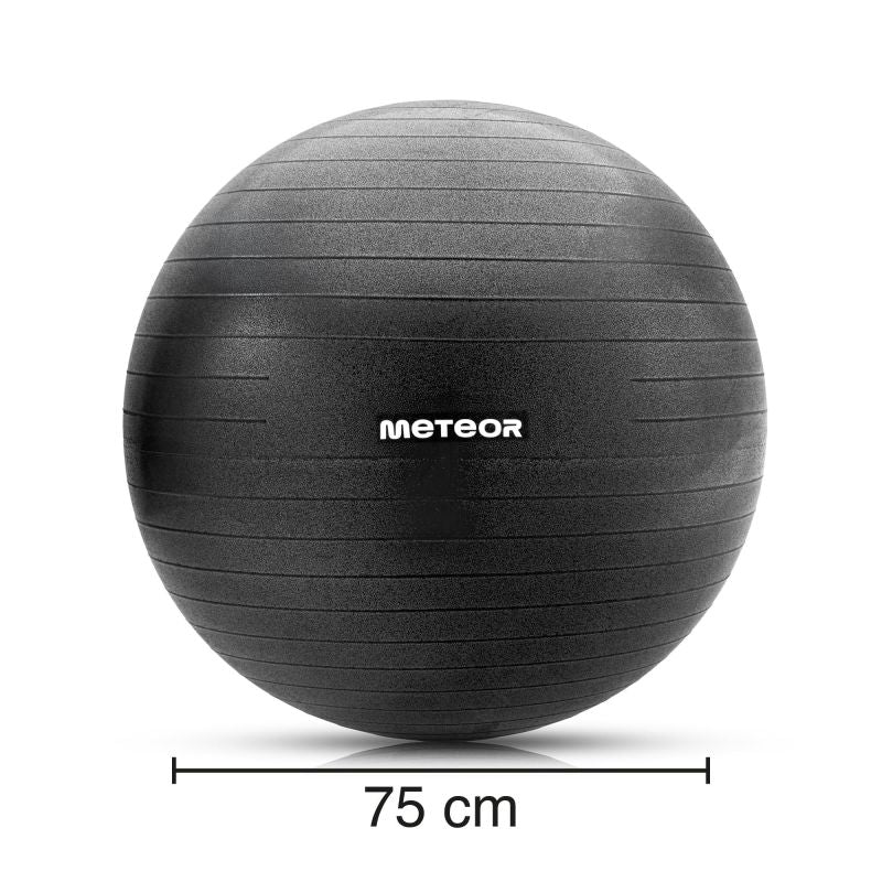 Meteor Fitness 75 cm Black uniw labda 17875