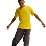 Nike Dri-Fit Park VIII Men's T-Shirt Yellow HV8173 sárga póló