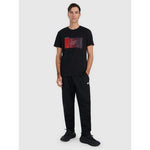 Men's regular printed T-shirt 4F 4FRAW25TTSHM3224-20S póló