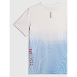 4F Men's regular printed T-shirt póló 4FRSS26TTSHM4040-33A