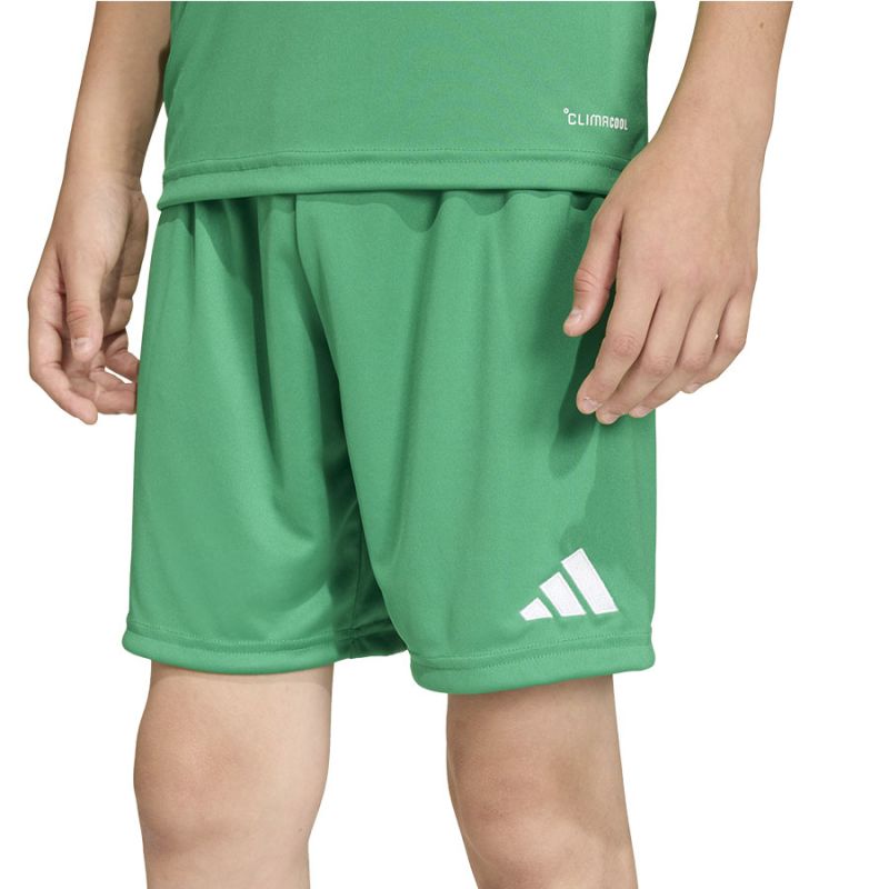 Kép alternatív szöveg