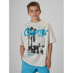 4F Boy's cotton T-shirt 158/164 ruházat 4FJRSS26TTSHM4167-27S