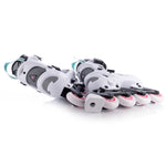 TEMPISH Systent Girl Adjustable roller skates