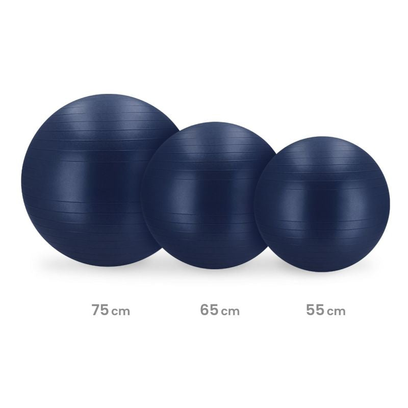 Gym 55cm BLUE FITBALL 55 cm labda