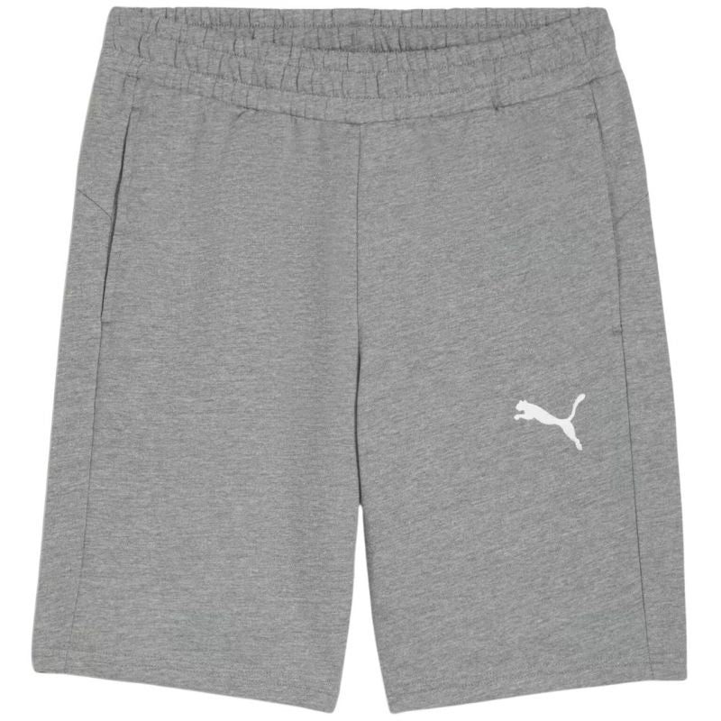 Puma teamGOAL Casuals Shorts