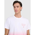 Men's regular printed T-shirt 4F 4FRAW25TTSHM3226-62S póló